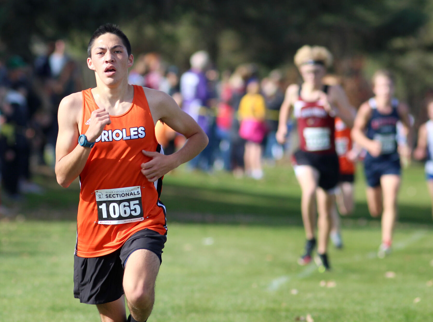 Division 3 cross country sectionals at Cadott 10-22-22